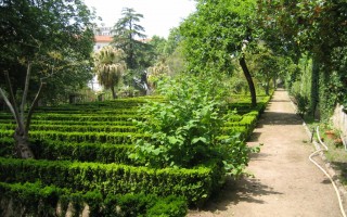 Jardim Botânico - Coimbra